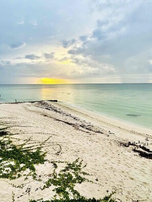 Beach - Beachfront house with a pool, 15 minutes from Progreso (Chuburna Puerto)