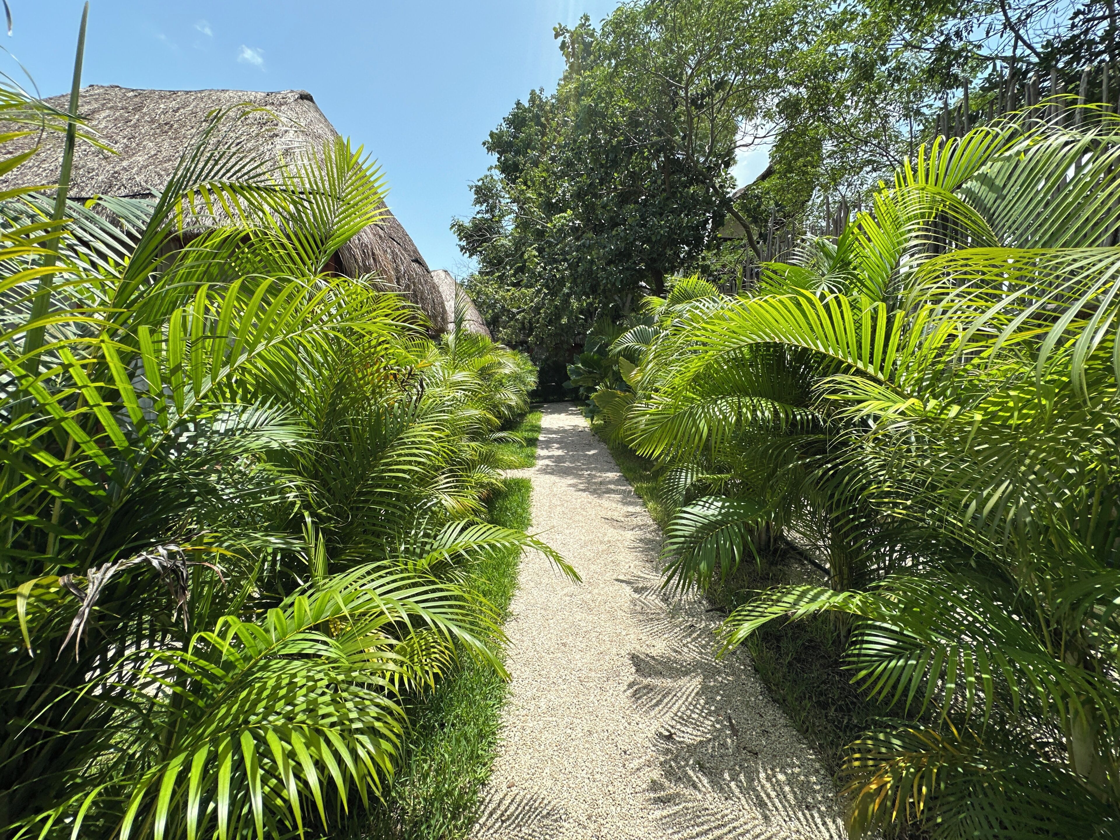 Bungalow Deluxe, vistas al jardín | Jardines del alojamiento