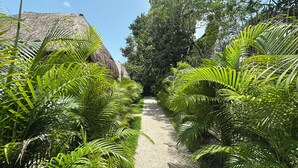 Un sendero bordeado por abundante vegetación verde y una estructura de techo de paja.