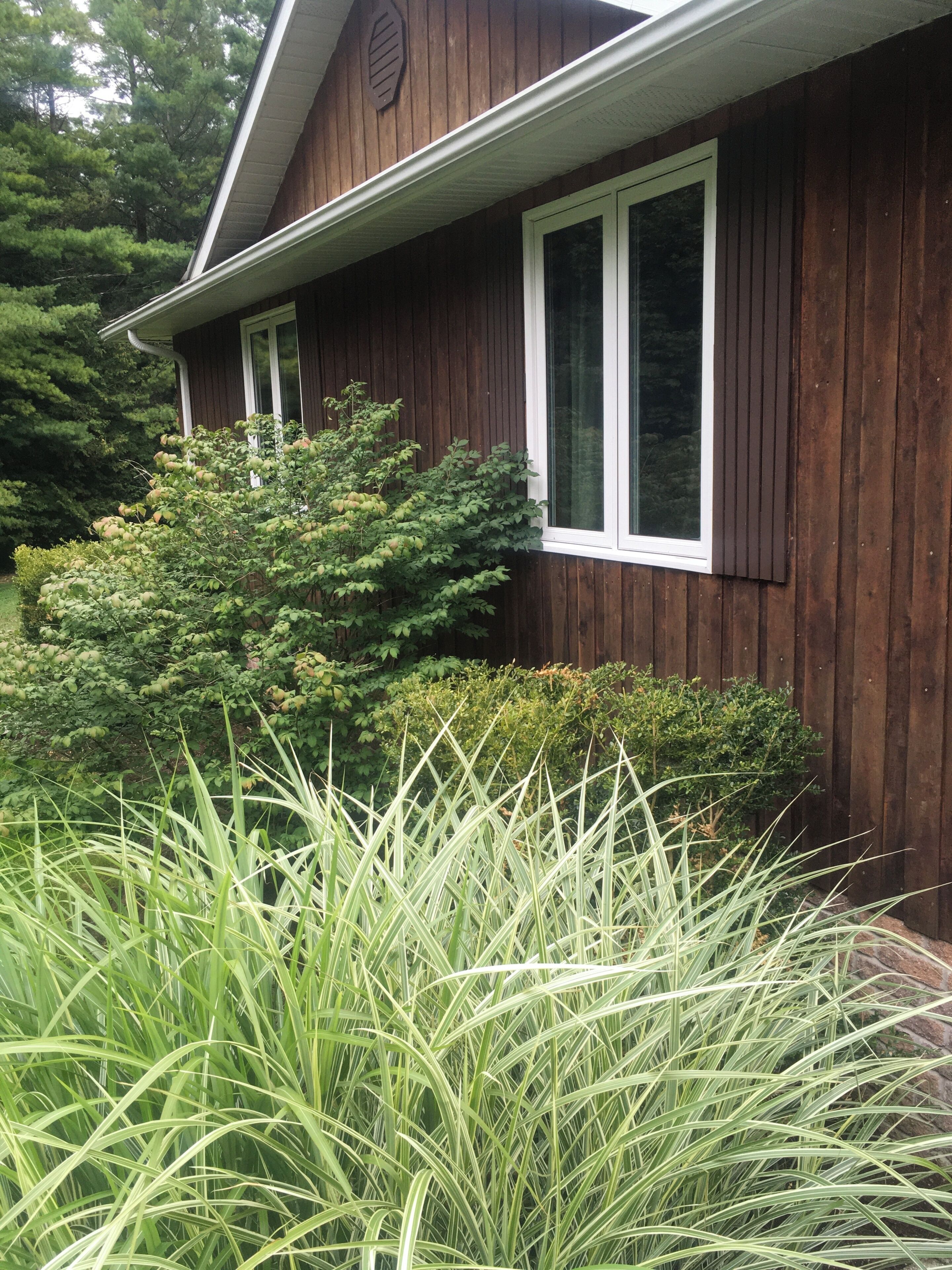 Une maison en bois avec une fenêtre et un buisson devant.