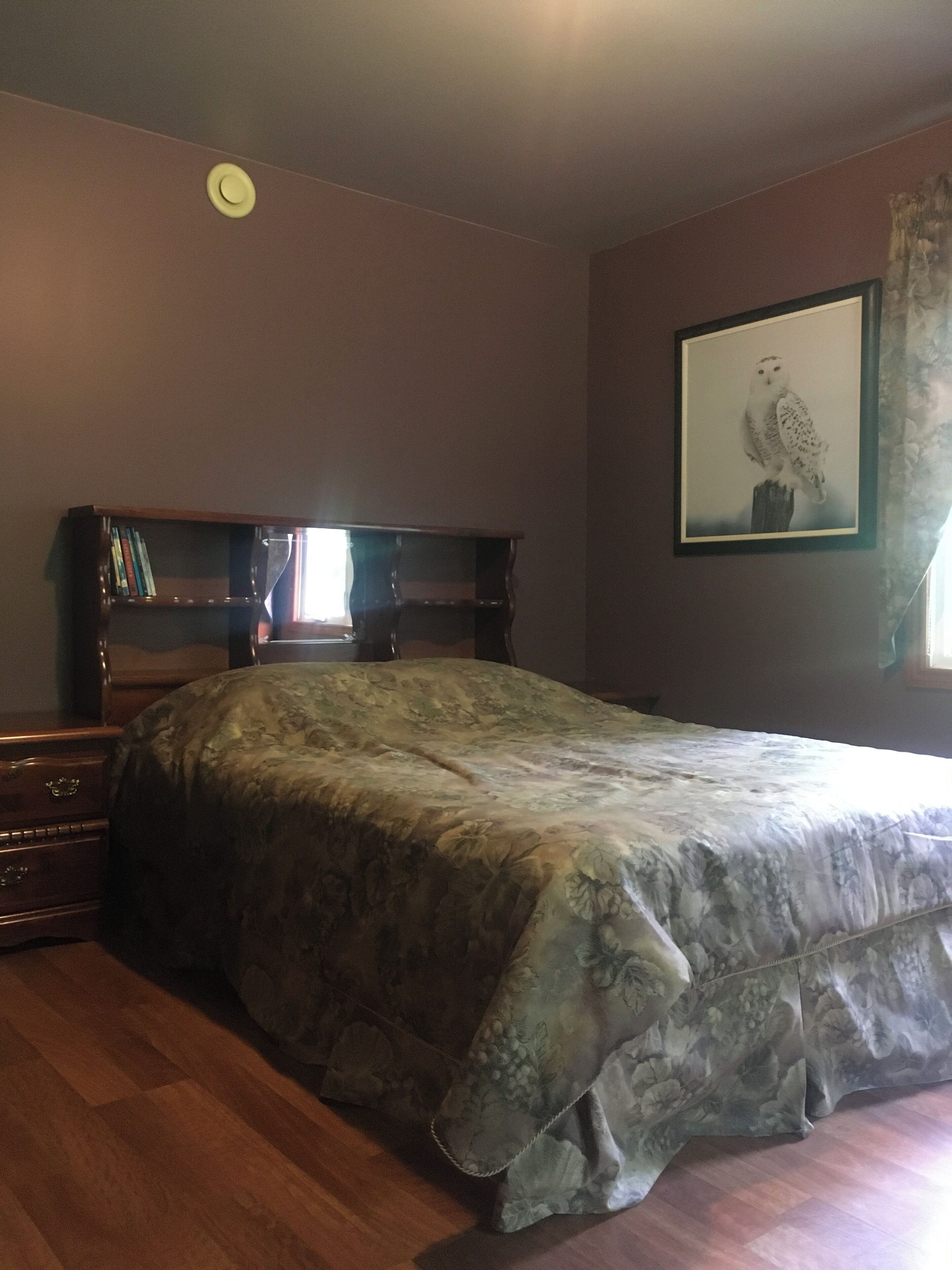 Iron/ironing board, bed sheets