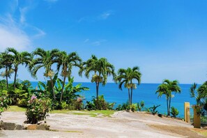 A coastal landscape with palm trees and a clear view of the ocean.
