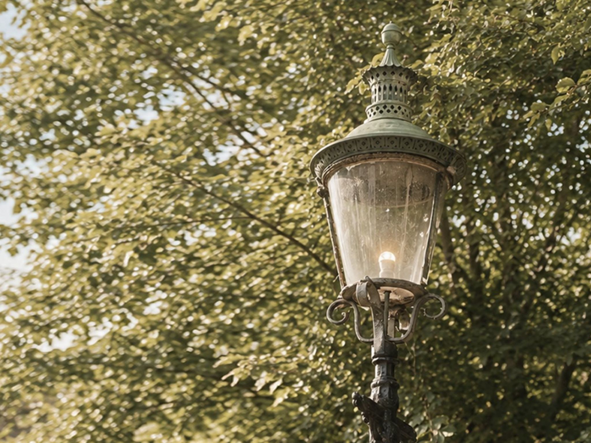 Un lampadaire doté d’un abat-jour en verre transparent et d’un sommet décoratif, se dressant sur un fond de feuillage dense.