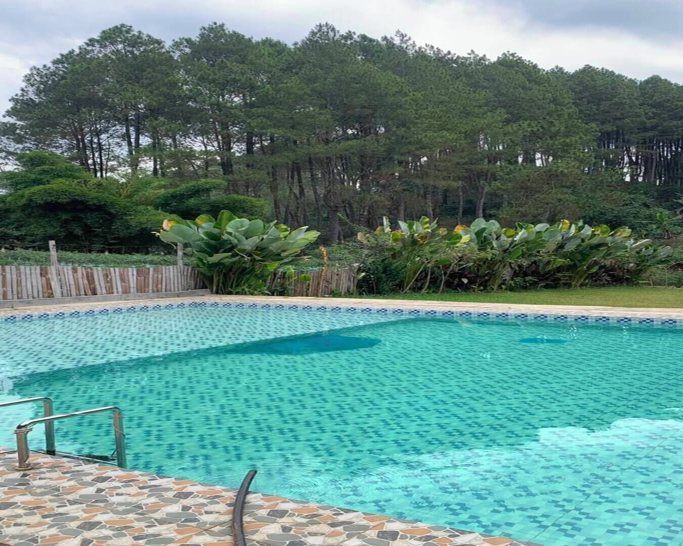 Tent | Pool