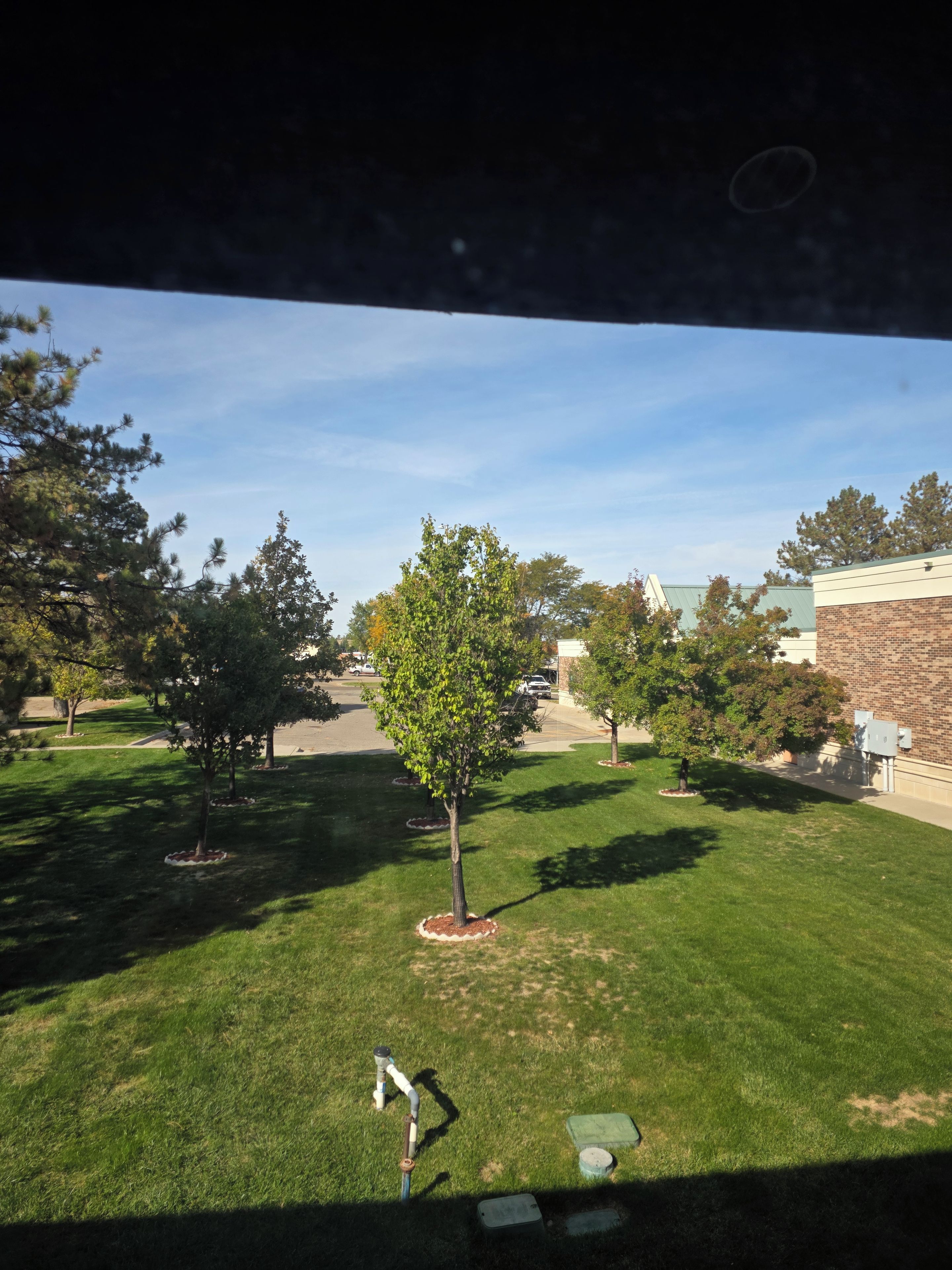 A grassy area with trees and a building in the background.