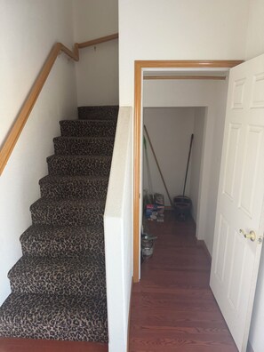 A staircase with leopard print carpet leading to a door. - Charming 2-bedroom building in peaceful Spangle with AC (Spangle)