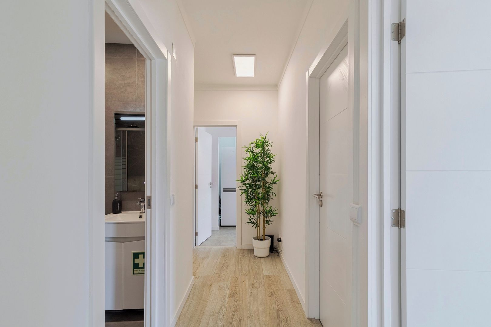 A hallway with a potted plant, a door, and a visible bathroom with a bathtub.