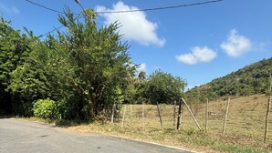 A paved road with a fence and trees on the side. - The Naguabeña House of the Anvil (Ceiba)
