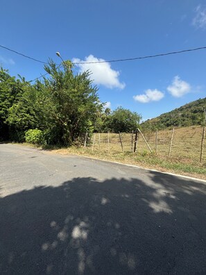 A paved road with a fence and trees on the side. - The Naguabeña House of the Anvil (Ceiba)