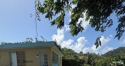 The Naguabeña Essence of the Anvil