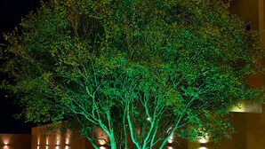 Un árbol con ramas iluminadas en un área ajardinada.