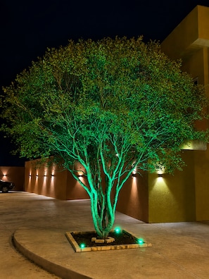 A tree with illuminated branches in a landscaped area.