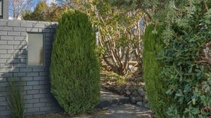 Um caminho ladeado por arbustos verdes bem aparados, que conduz a um muro de pedra e a um jardim com diversas plantas.