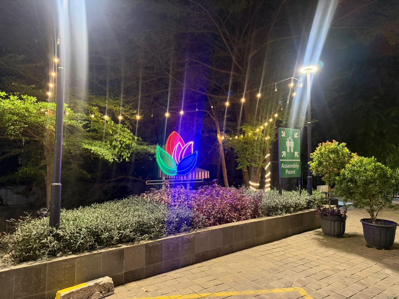 A well-lit pathway leading to a building with a neon lotus flower sign, surrounded by greenery and a paved area with directional signage.