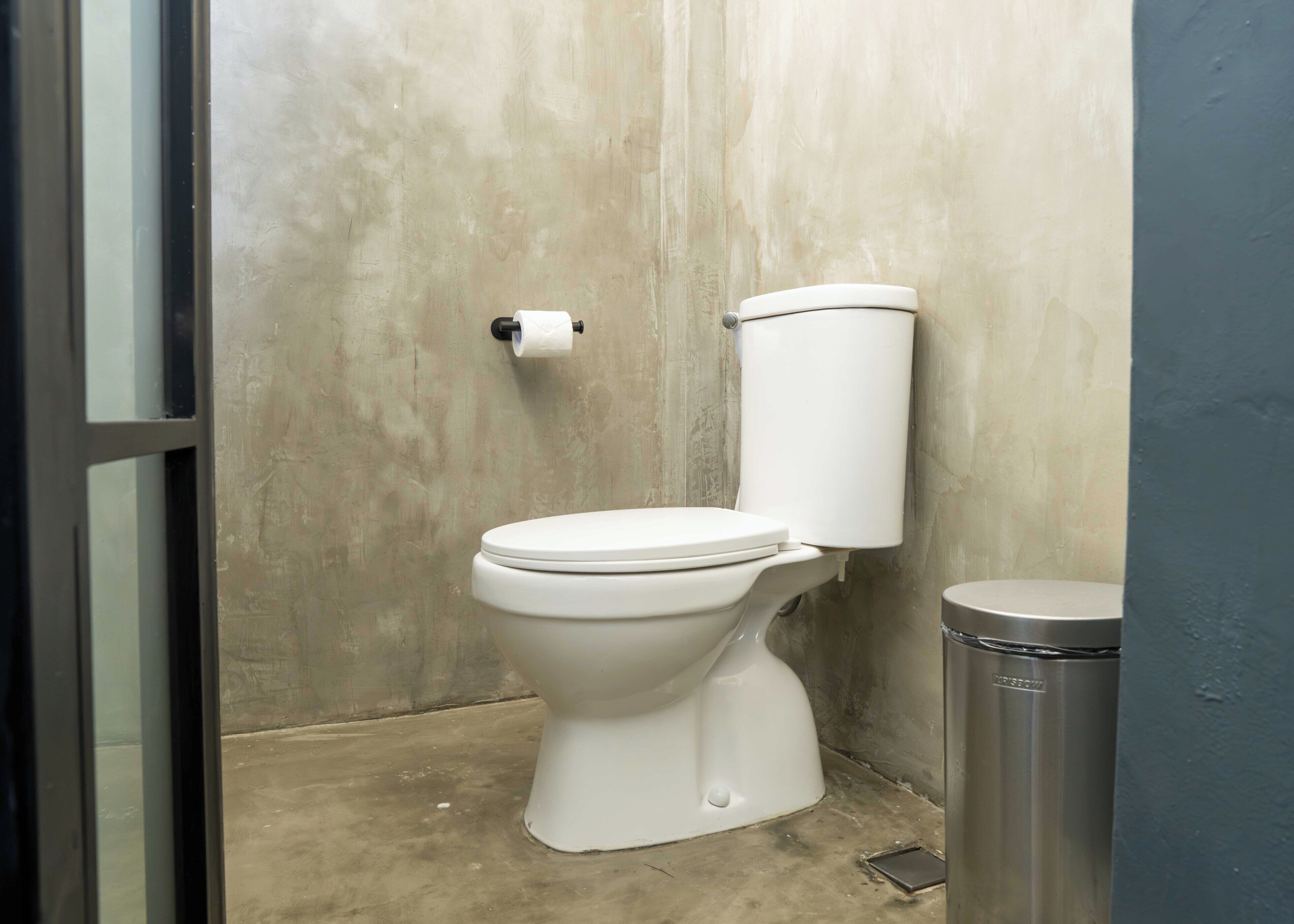 Des toilettes avec un réservoir et un abattant blancs, un rouleau de papier toilette accroché au mur et une poubelle placée à droite.