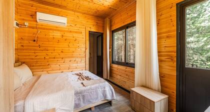 Alpine Cabin Bog Nature Retreat