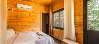 Alpine Cabin Bog Nature Retreat