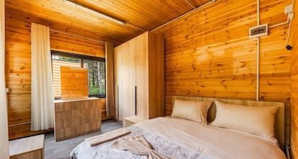 Alpine Cabin Bog Nature Retreat