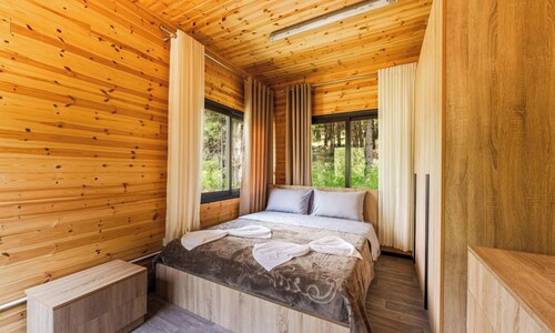 Valley Cabin Bog Nature Retreat