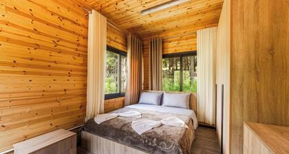 Valley Cabin Bog Nature Retreat