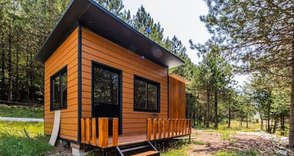 Valley Cabin Bog Nature Retreat