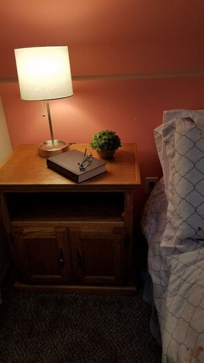 A wooden bedside table with a lamp, a book, and a small plant.