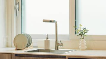 Una cocina moderna con un lavamanos de acero inoxidable, un armario de madera y una planta en el alféizar.