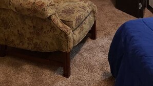 A room with a patterned armchair, a bed with a blue cover, and a closet with a coat rack.