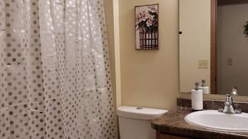 A bathroom with a toilet, a sink, a shower curtain, and a mirror.