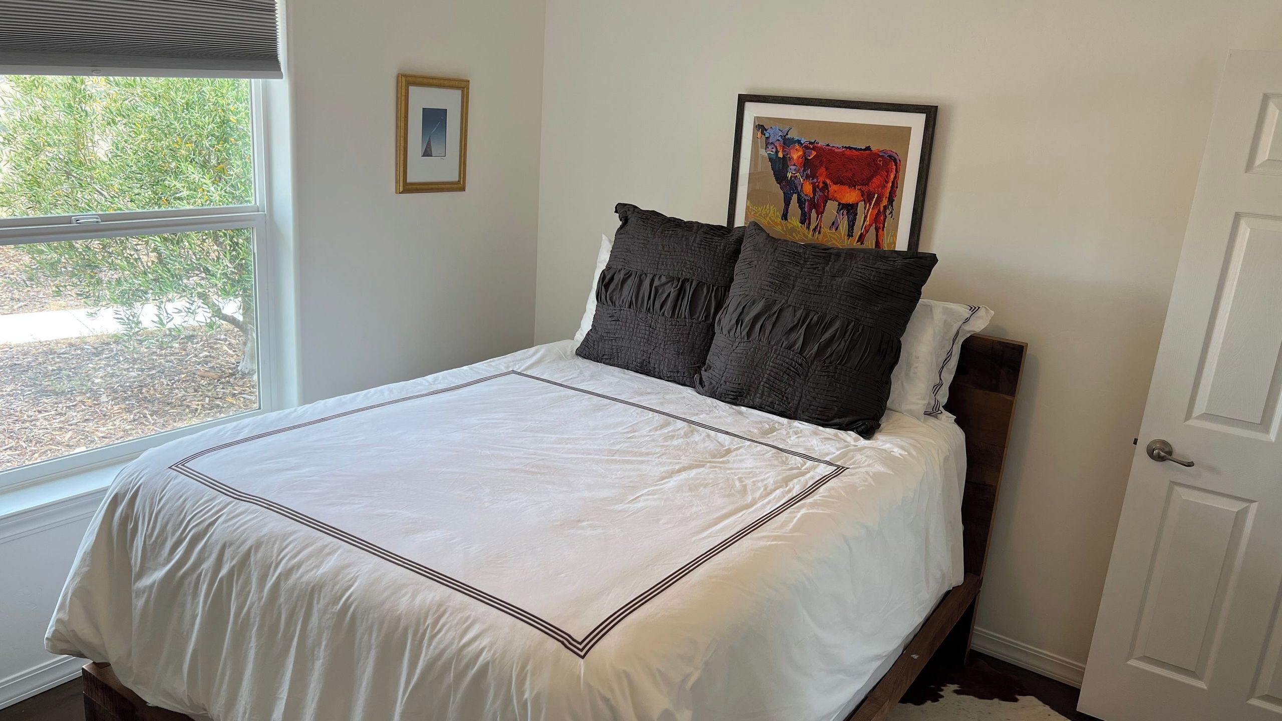 A neatly made bed with a white bedspread and dark pillows, a framed picture above the bed, and a window with a view of greenery outside.