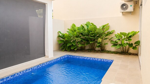 Piscina com borda em azulejo, rodeada por plantas e uma janela com mosquiteiro.