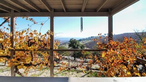 A vineyard with rows of grapevines and a clear view of the surrounding landscape. - Peachy Canyon Place by Avantstay Vineyard Deck Views Near Wineries (Paso Robles)