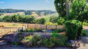 Ein Garten mit erhöhten Beeten, einem Holzzaun und Blick auf sanfte Hügel im Hintergrund.