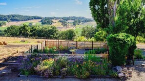 A garden with raised beds, a wooden fence, and a view of rolling hills in the background. - Orchard Hill Farm by Avantstay Vineyard Views + Fire Pit + BBQ Countryside Wine Country (Paso Robles)