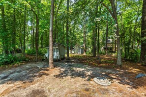 A forested area with a small cabin and a paved path.