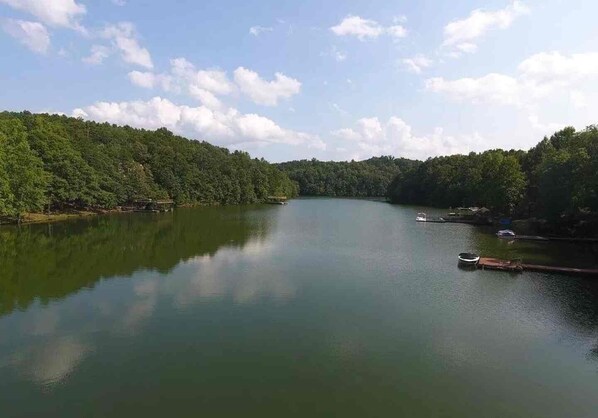 Miscellaneous - Charming Lakehouse in the Woods, Year Round Beauty (Wedowee)