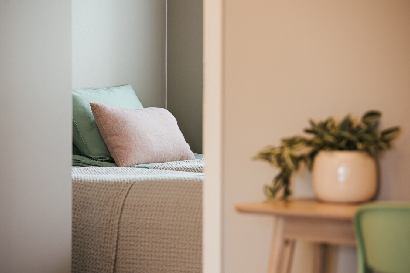 Une pièce avec un lit, une petite table et une plante en pot.