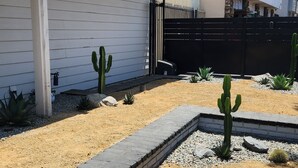 A residential area with a paved driveway, a cactus garden, and a black metal fence.