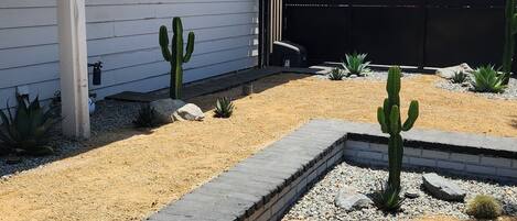 A residential area with a paved driveway, a cactus garden, and a black metal fence.
