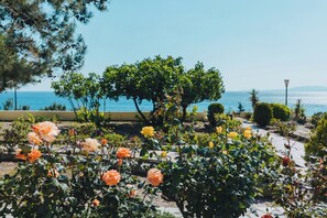 Ein Garten mit Rosen und Blick auf das Meer.