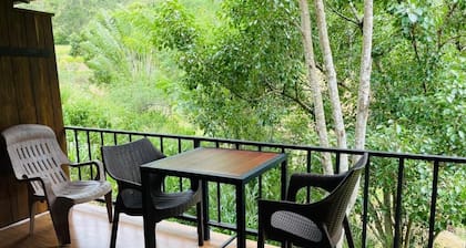 Wild Resort Ella