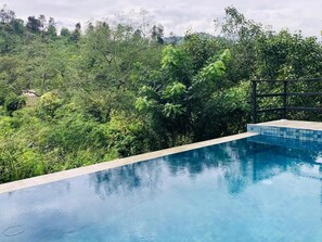 A clear view of a swimming pool with a tiled edge, surrounded by lush greenery and a metal railing. - Wild Resort Ella (Ella)