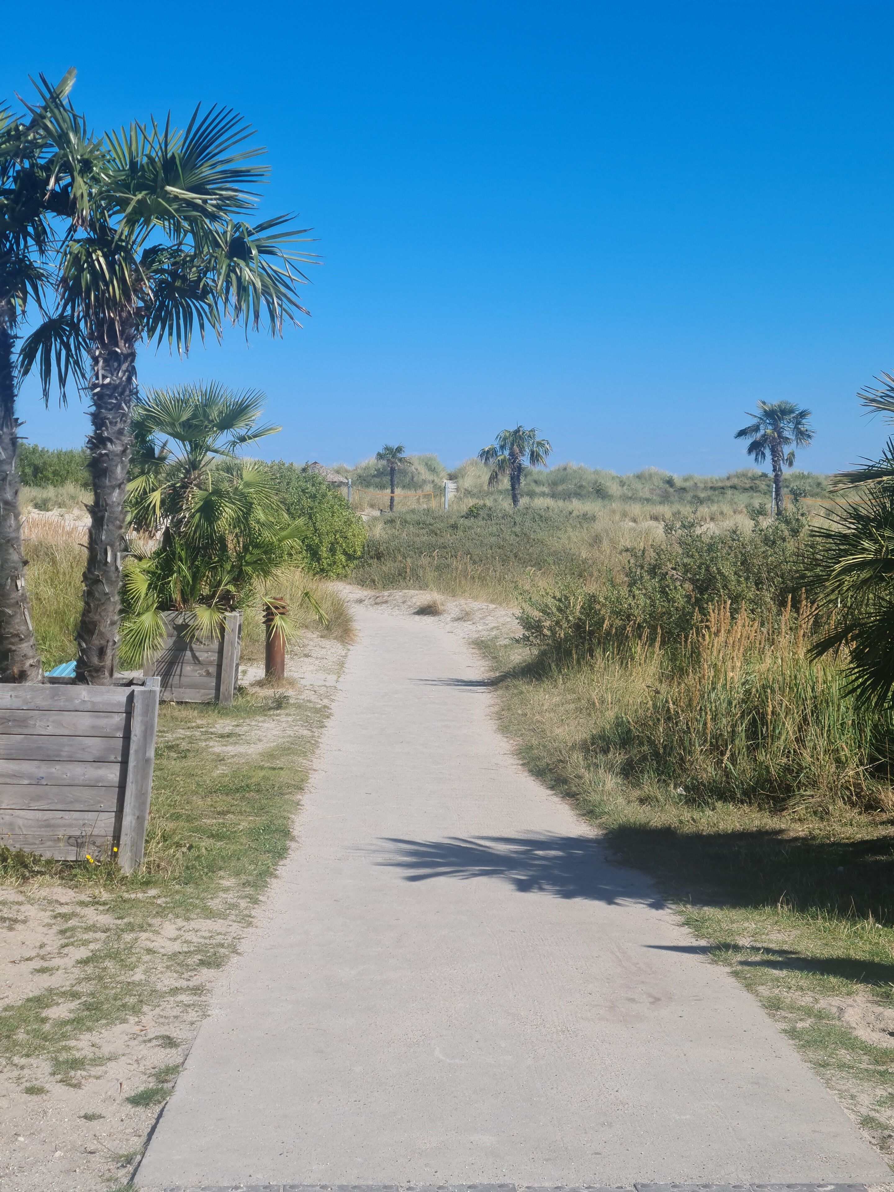 Beach nearby, sun loungers, beach volleyball