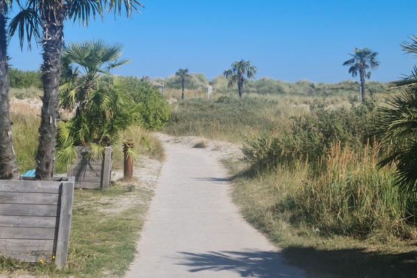 Beach nearby, sun loungers, beach volleyball