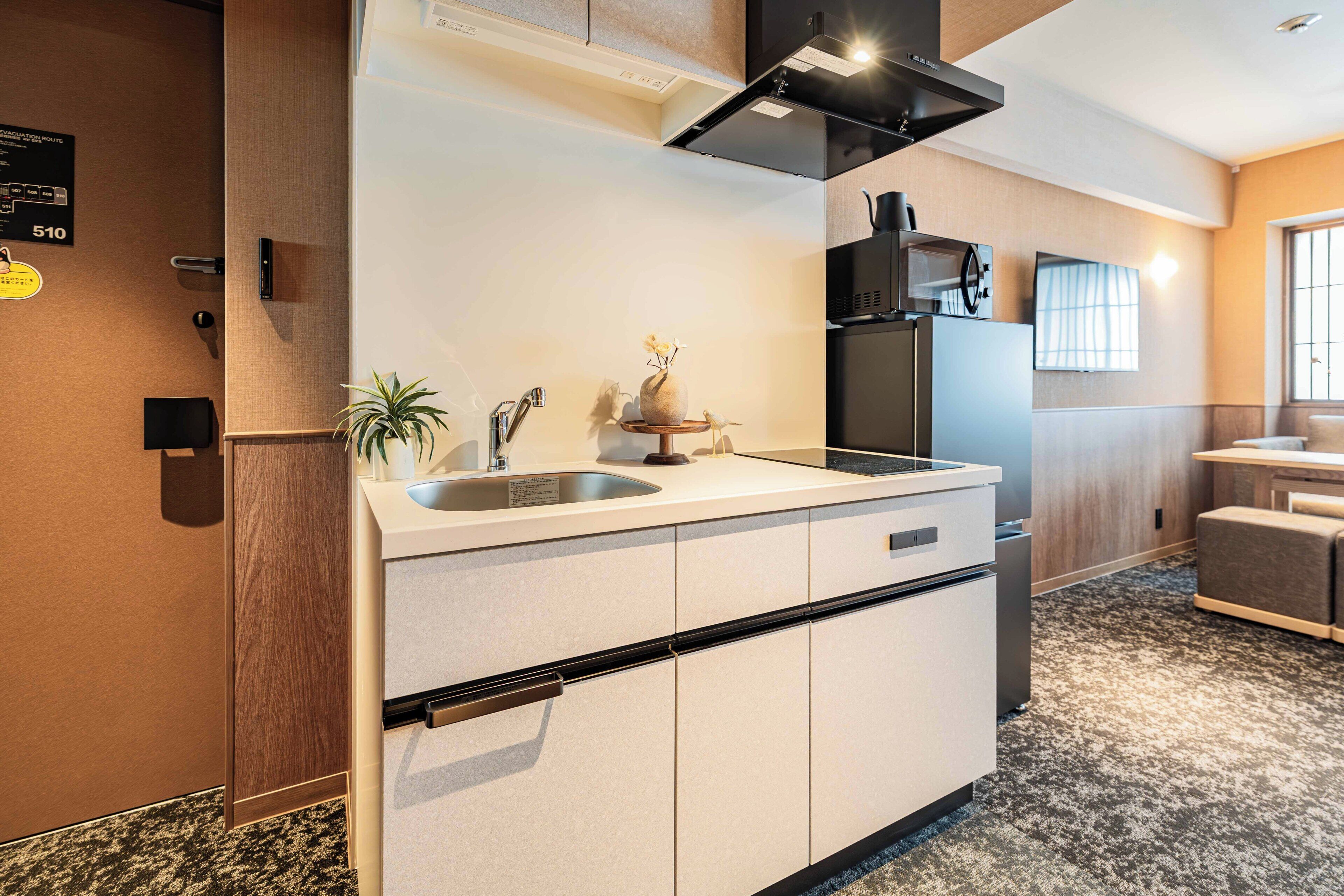 A modern kitchen with a built-in stove, a sink, and a small decorative plant.