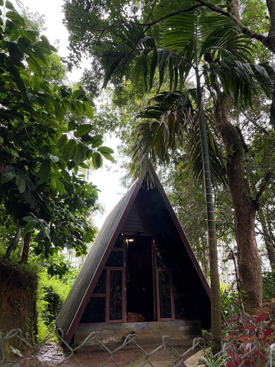 A small, triangular-roofed structure surrounded by lush greenery.