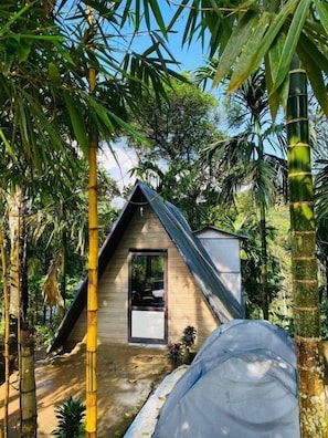 A small, single-story building with a sloped roof, surrounded by dense bamboo and tropical vegetation. - Happy Feet Wayanad (Sulthan Bathery)