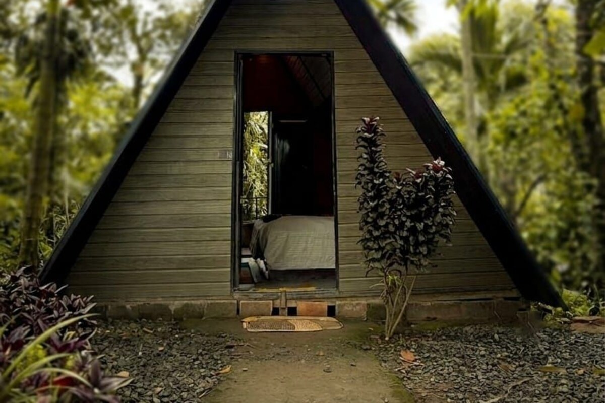 Una estructura de madera triangular con una entrada abierta, rodeada de abundante follaje.