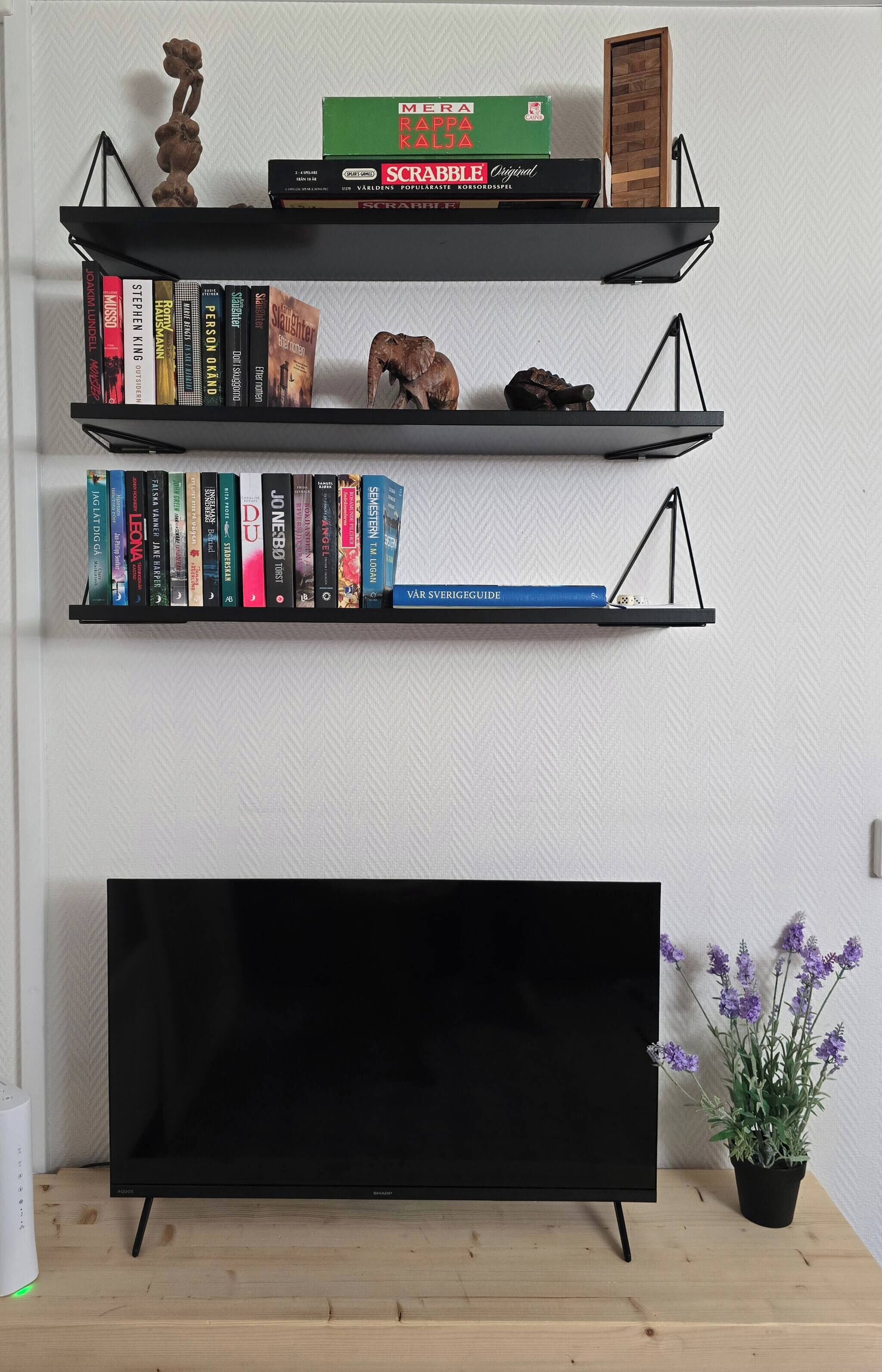 A black TV stand with a flat-screen TV, three black shelves with books, and a potted plant with purple flowers.