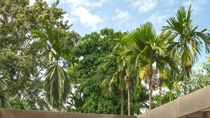 A tropical outdoor seating area with a pool, wooden furniture, and a view of dense foliage.